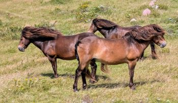 Dánsko obytným autem III: Ostrovy Fyn a Langeland