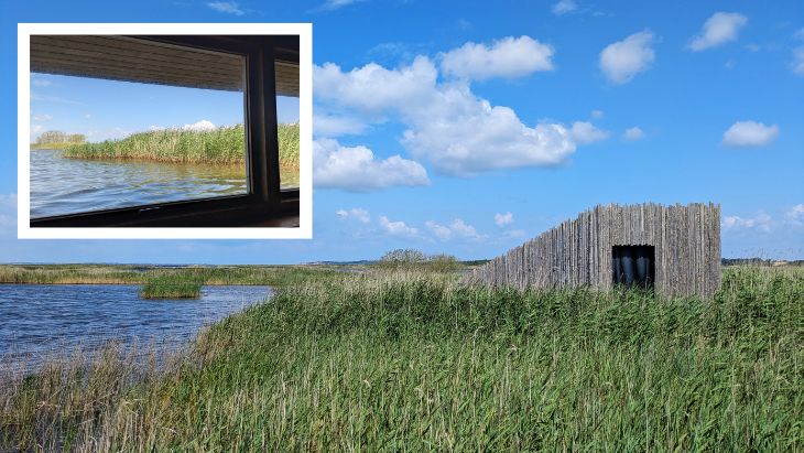 Pozorovatelna ptáků Dánsko